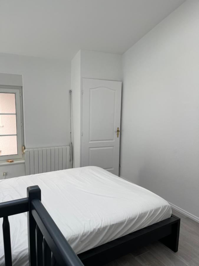 Apartament Nancy Hypercentre 34 Rue Des Dominicains ! Zewnętrze zdjęcie