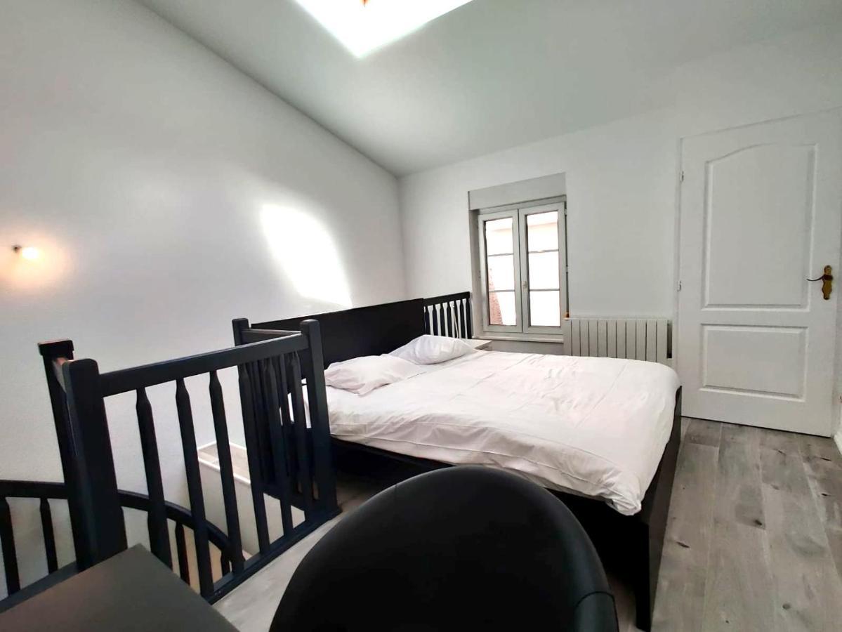 Apartament Nancy Hypercentre 34 Rue Des Dominicains ! Zewnętrze zdjęcie